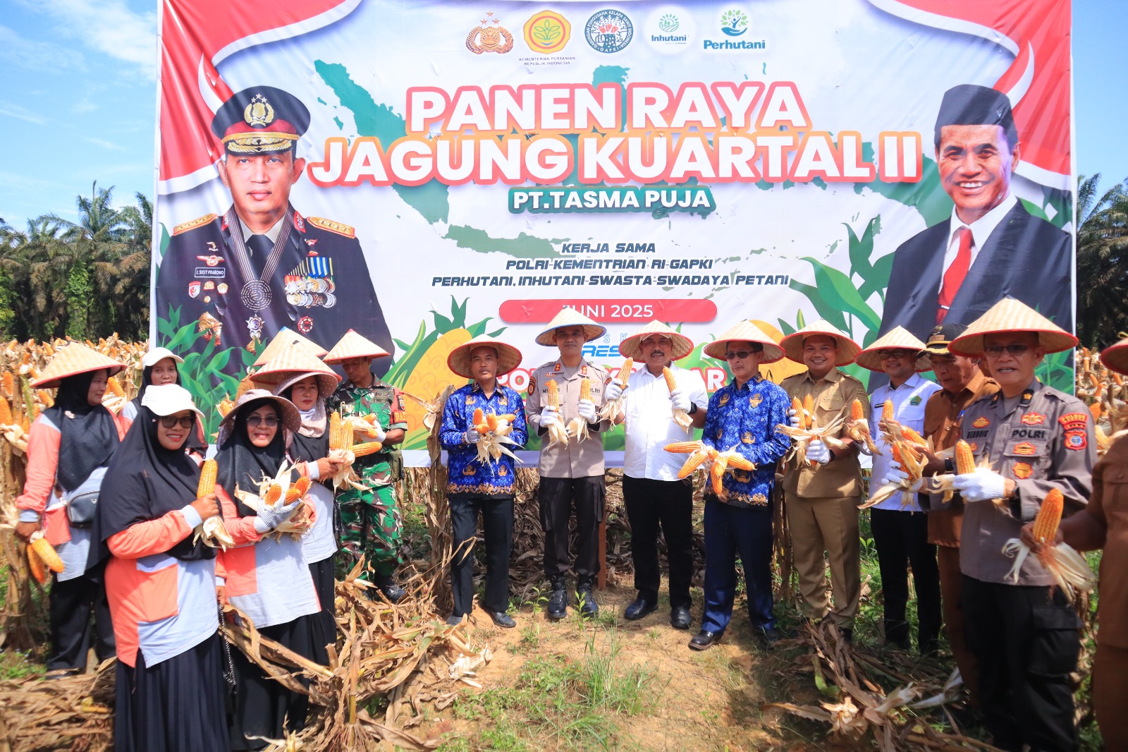 Kapolres Kampar Panen Raya Jagung: Wujud Dukungan Nyata Untuk Ketahanan Pangan Nasional