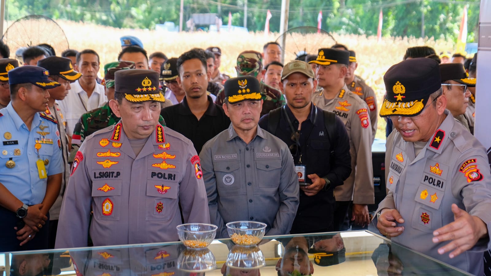 Jelang Panen Raya Jagung,Kapolri Turun Langsung Cek Lokasi Ke Kalbar