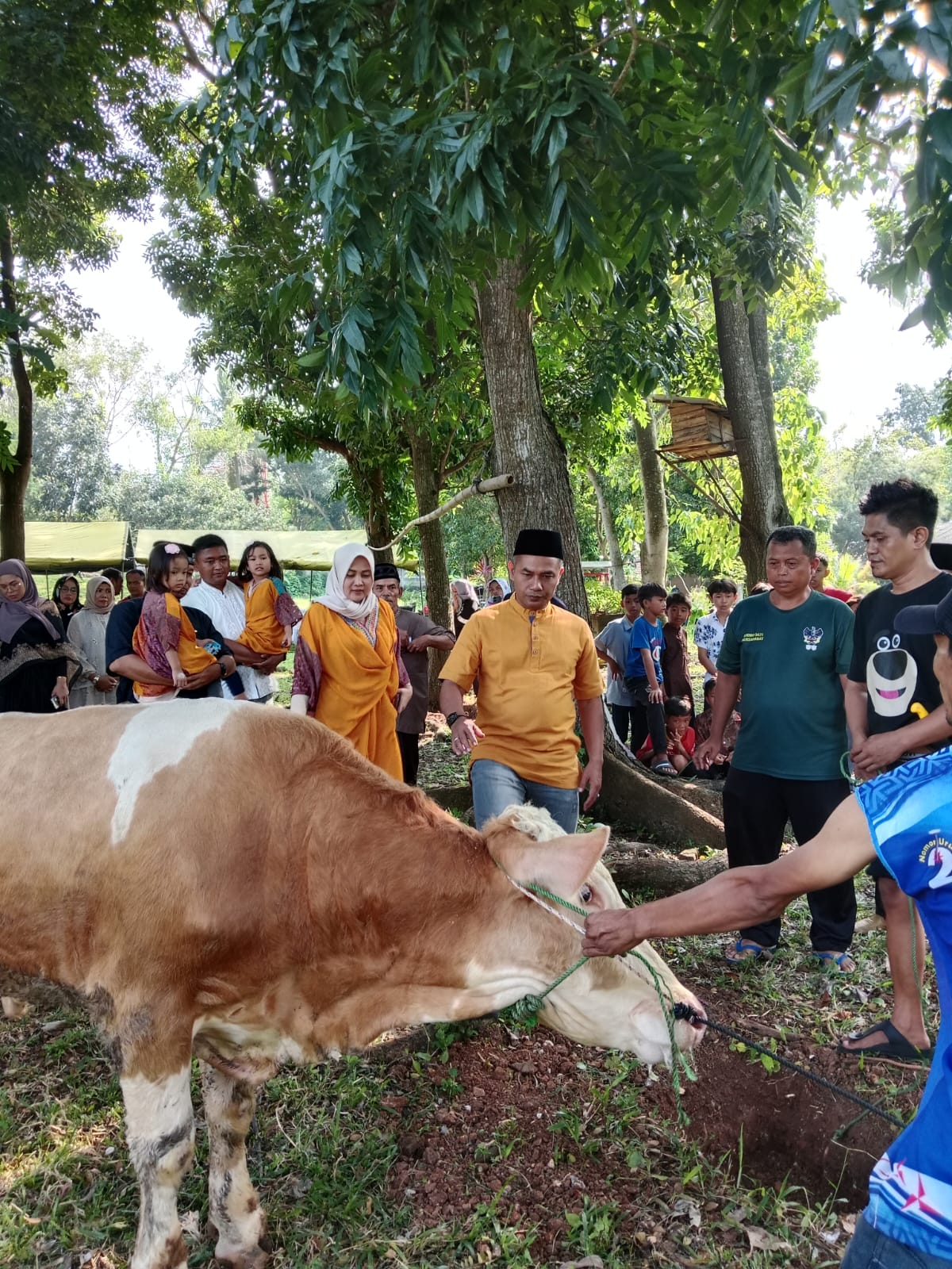 Kodim 0421/LS Sembelih 10 Hewan Qurban Di Hari Raya Idul Adha 1446 H/2025 M