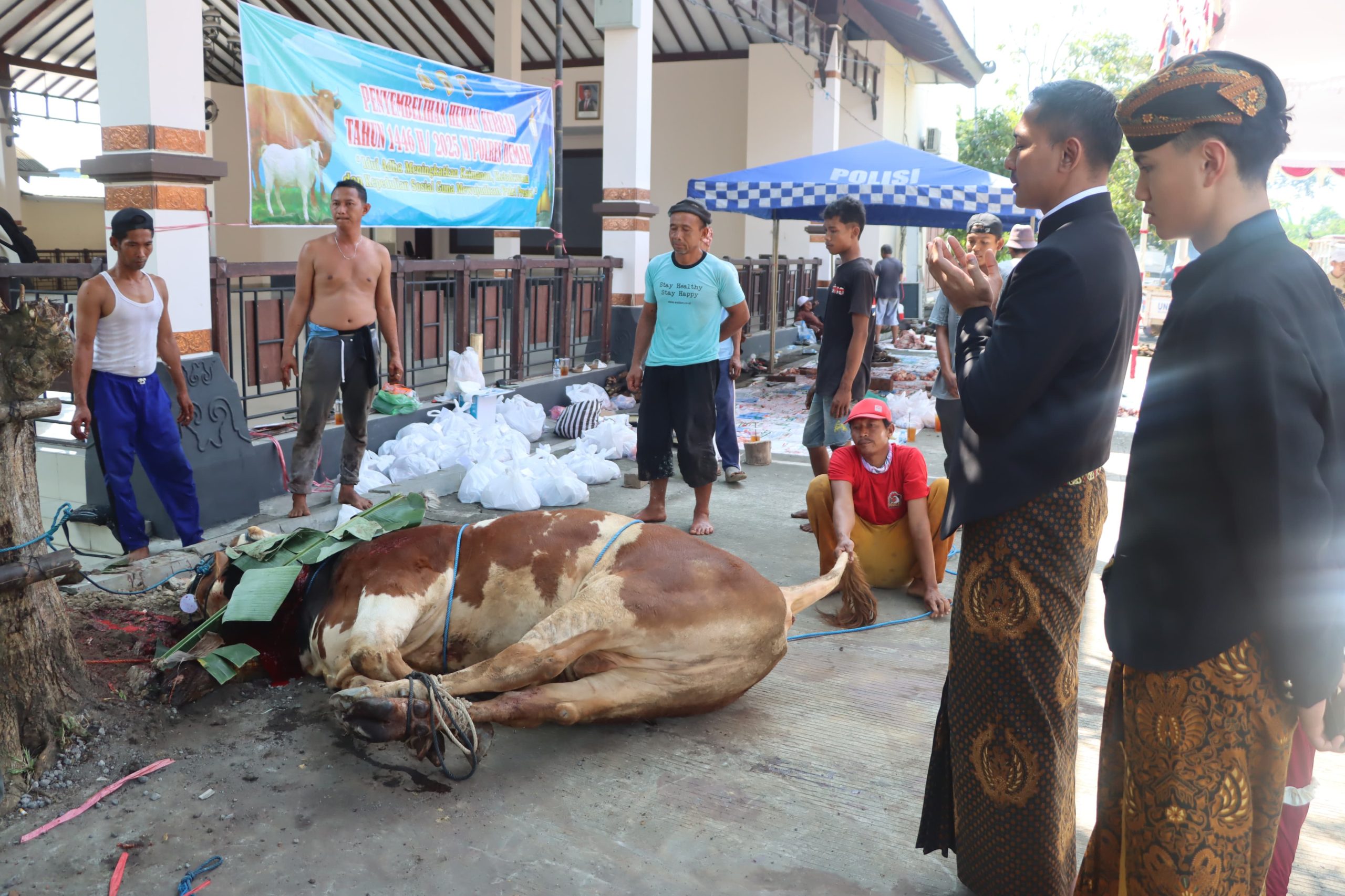 Sambut Idul Adha,Polres Demak Sembelih 6 Ekor Sapi Dan 5 Ekor Kambing