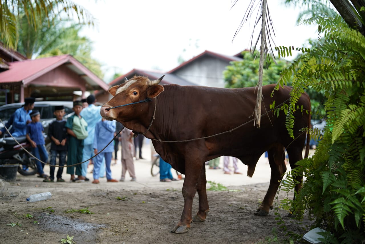 Dr Afni Z Laksanakan Shalat Idul Adha Di Tasik Betung,Kunjungan Pertama Usai Dilantik