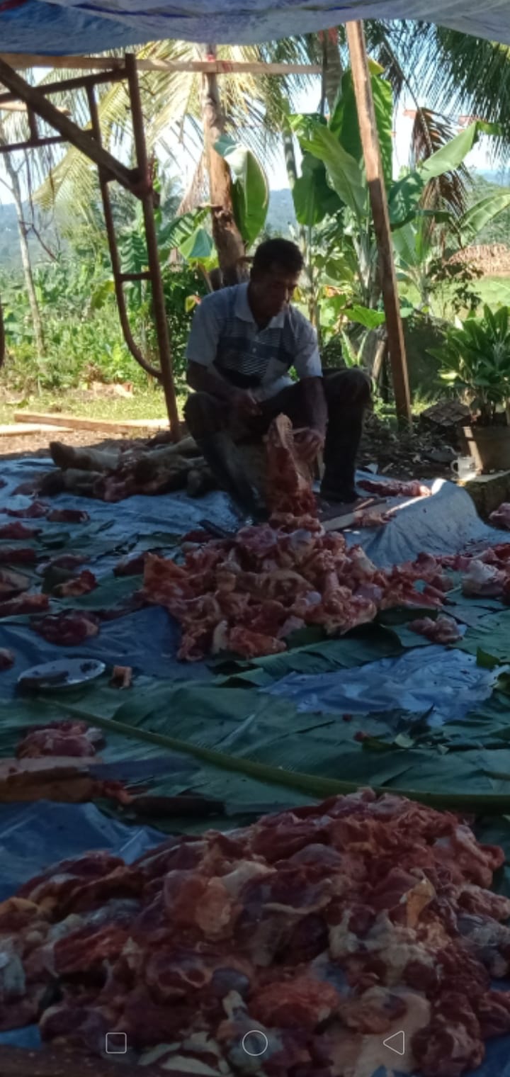 PCM Kecamatan Blado Kabupaten Batang Gelar Shalat Idul Adha Dan Pemotongan 4 Ekor Sapi