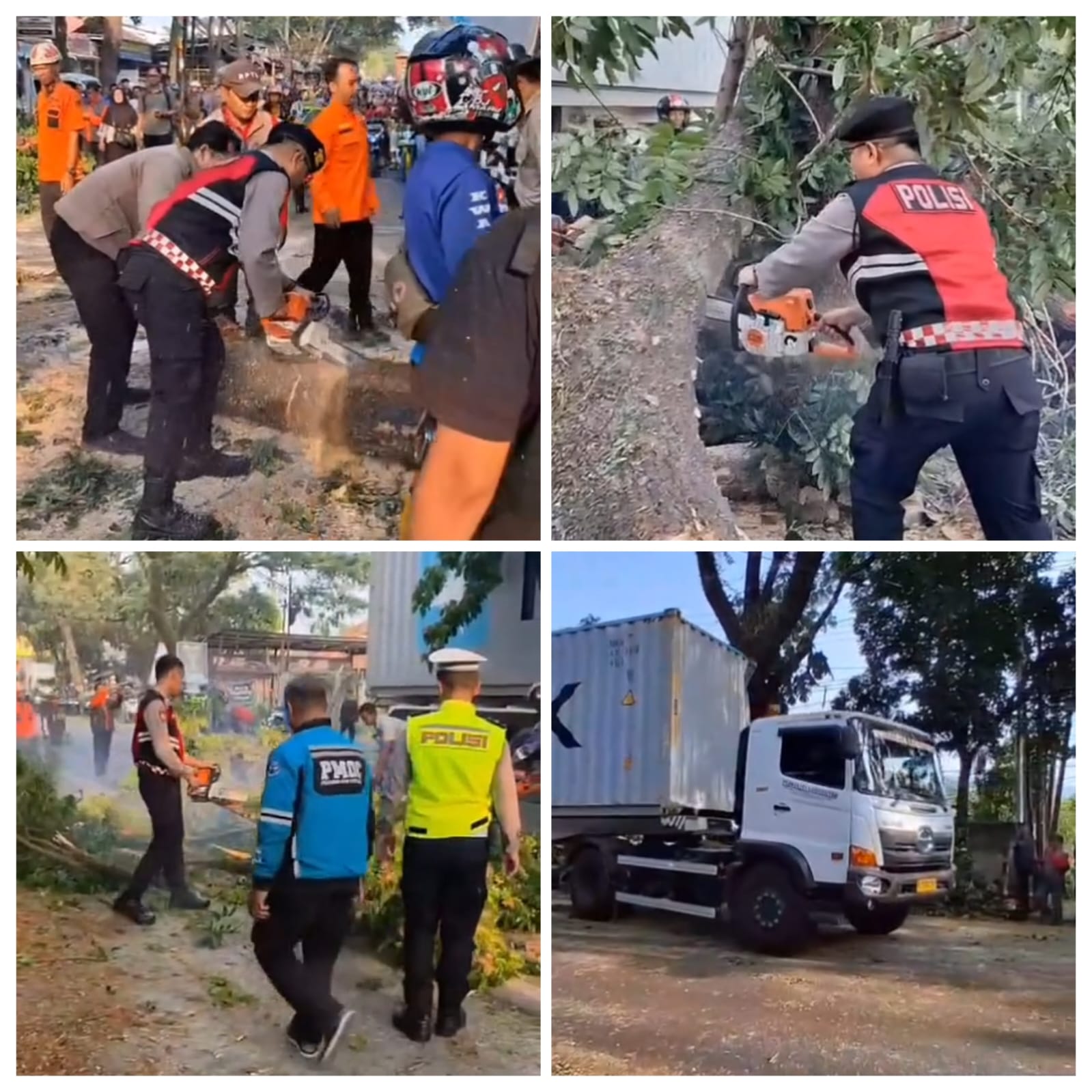 Respons Cepat Satsamapta Polres Cianjur Evakuasi Pohon Tumbang di Jalan Raya Bandung